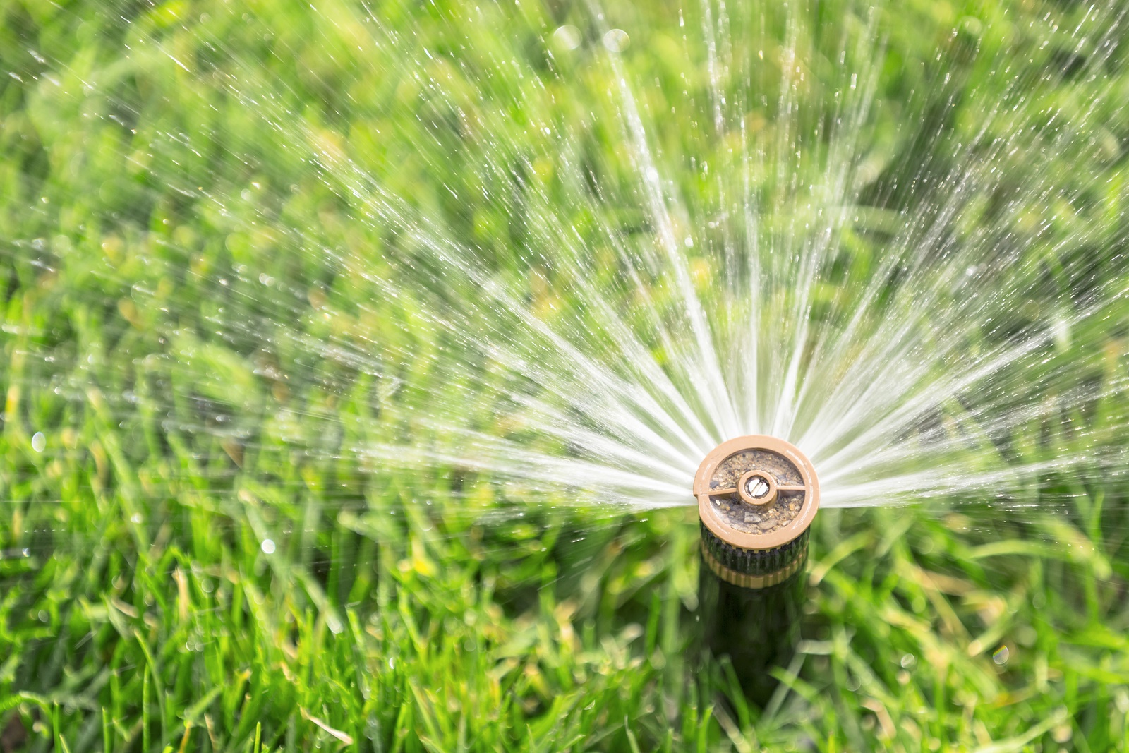 Ways To Irrigate Your Garden